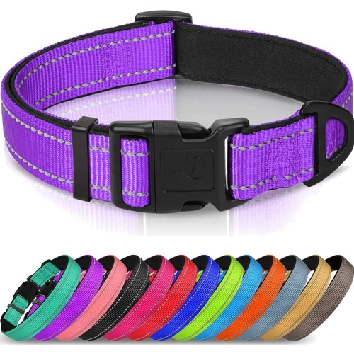 Hundehalsband nylon neopren - hundehalsband,