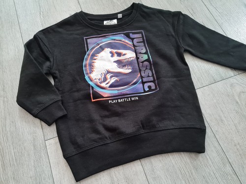 Sweatshirt mit dinosaurier - sweatshirt,