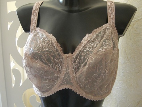 Prima donna alara - donna,