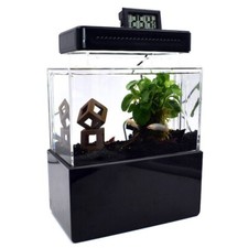 1L Aquarium Komplettset