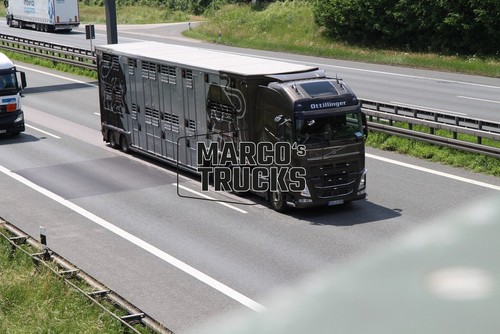 Lkw foto volvo - lkw,