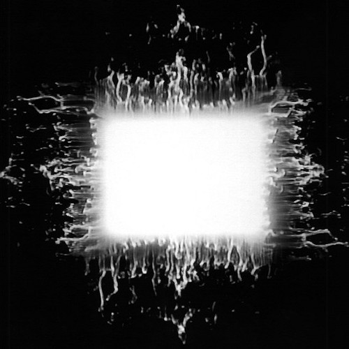 Tool aenima cd - -,