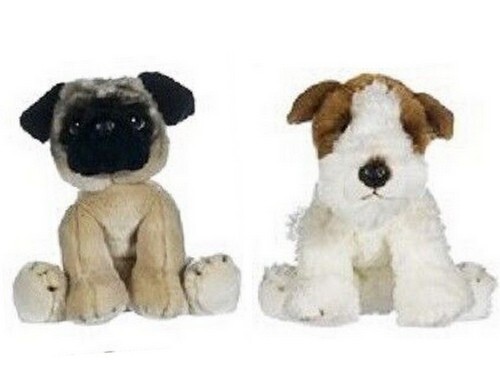 Mops oder foxterrier - mops,