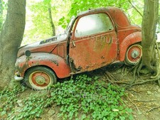 Foto Abzug Profi ca.13x18cm