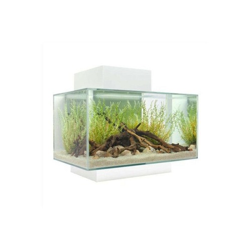Fluval edge aquarium - fluval,