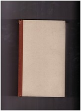 Maurus und sein Turm. Roman