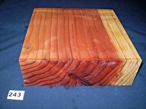 Redwood mammutbaum - redwood,