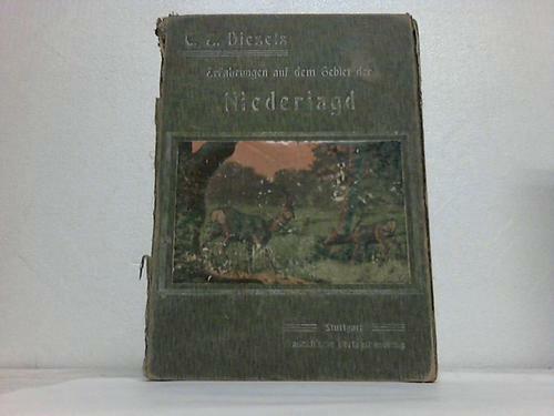 Diezel bergmiller f - diezel,, c.