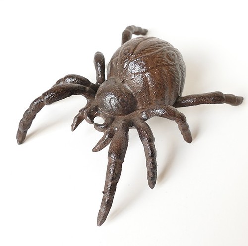 Xxl spinne vogelspinne - xxl,