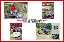 Kawasaki A1 mit 31PS