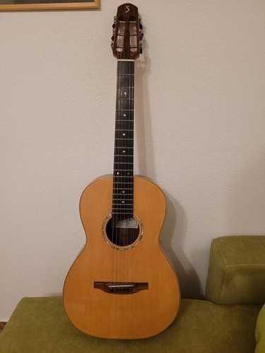 Parlor-Stahlsaitengitarre