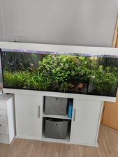 Aquarium Juwel 540l Beleuchtung,Außenfilter, digital Heizung Komplettset Besatz