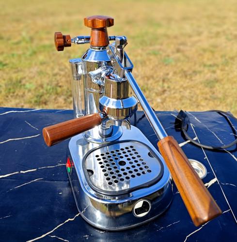 Pavoni europiccola - la,