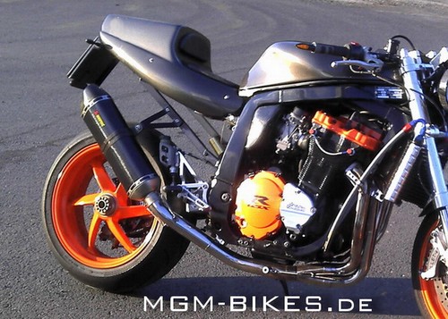 Mgm bikes univ höcker - he, univ.höcker