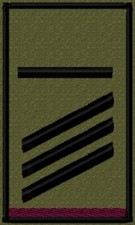 Bundeswehr Rangabzeichen Heer