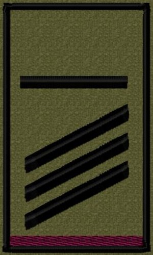 Bundeswehr rangabzeichen heer - bundeswehr,