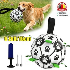 Hundespielzeug Ball