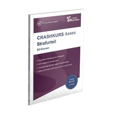 CRASHKURS Assex Strafurteil -