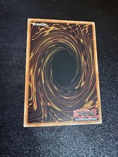 blauäugiger weißer Drache 1