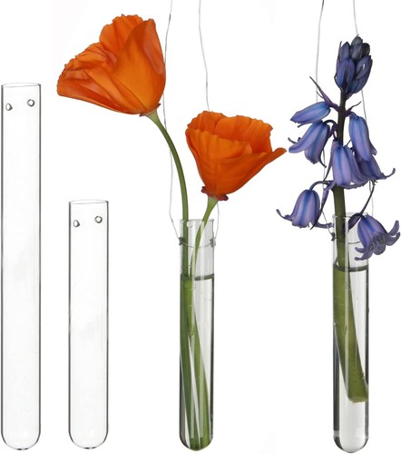 Reagenzgläser für blumen - für,