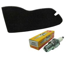 Luftfilter + Zündkerze NGK