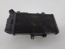 Wasserkühler BMW F800R