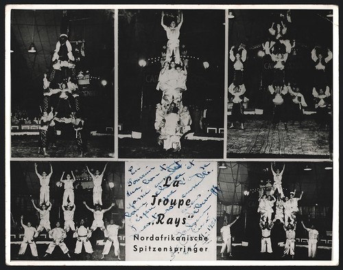Fotografie circus zirkus la - /,
