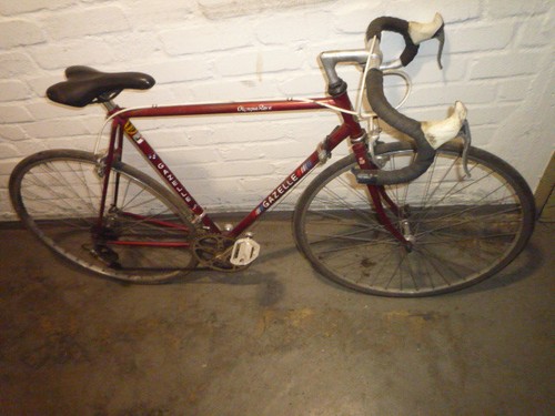 Gazelle champion 54 - champion,