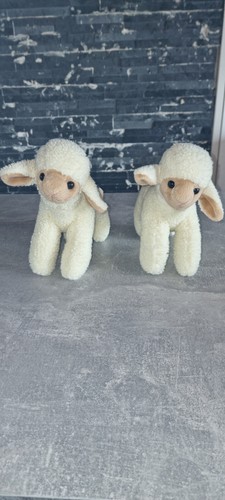 Lamm lämmchen schaf - lamm,
