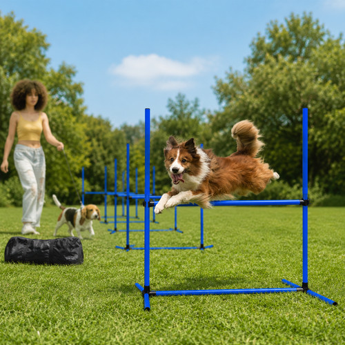 Hürdenset agility training - hürdenset,