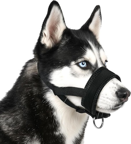Maulkorb für hunde - maulkorb,