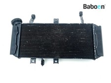 Radiator Suzuki SV 650 2004