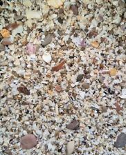 500g Natürlicher Muschelsand Spanien Meeressand Strandsand Aquarium Terrarium