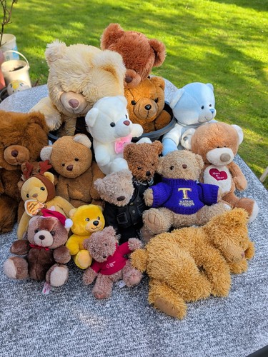 16x teddybär bär kuscheltier - 16x,