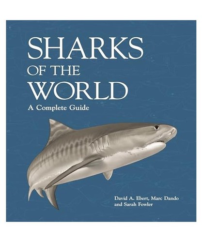 Sharks the world a - sharks, world: