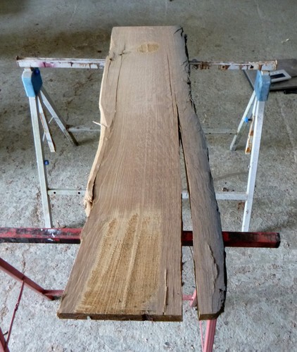 Mooreiche moorholz - mooreiche,
