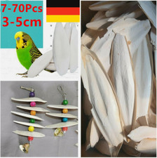 7-70X  Natur Sepiaschalen, Sepia Schale, unbehandelt Tintenfisch Vögel Reptilien