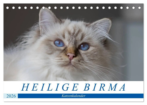 Heilige birma katzenkalender - heilige,