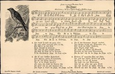 Lied Ak In Zipp von Hans Soph, Of' n Ast un drinnen in Gestrüpp... - 3631437