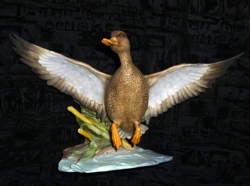 Herrliche große fliegende