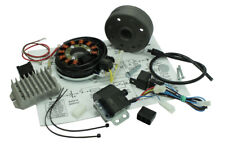 Lichtmaschine Elektonik