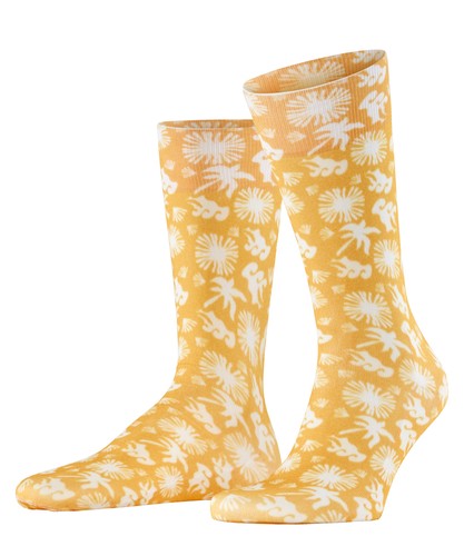 Burlington socken lagoon - burlington,