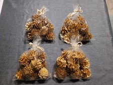 Neu Set Naturzapfen Gold