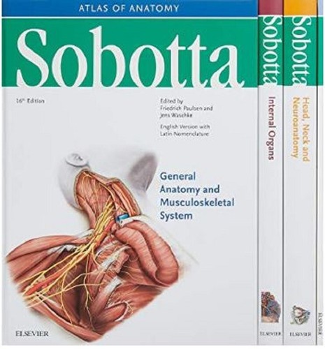 Sobotta atlas der anatomie - atlas,