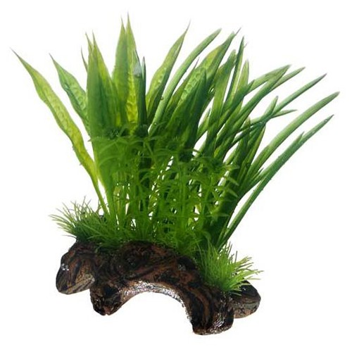 Hobby flora root keramische - hobby,