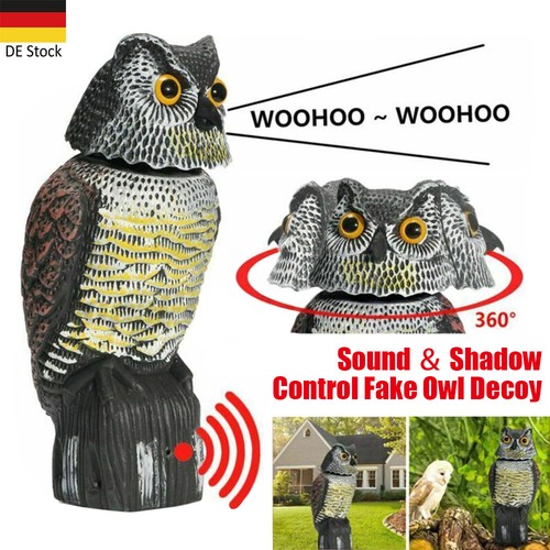 Eule vogelschreck schrecken - -,