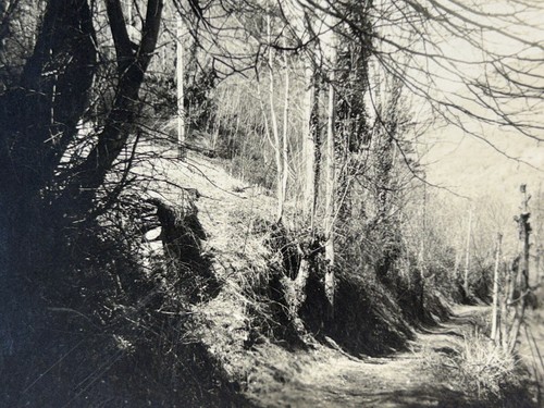 Landschaft berge c1905 - landschaft, foto