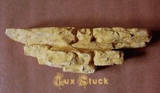 Wandkonsole Regal Felsen Stuck