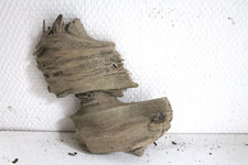 Schwemmholz Treibholz Skulptur