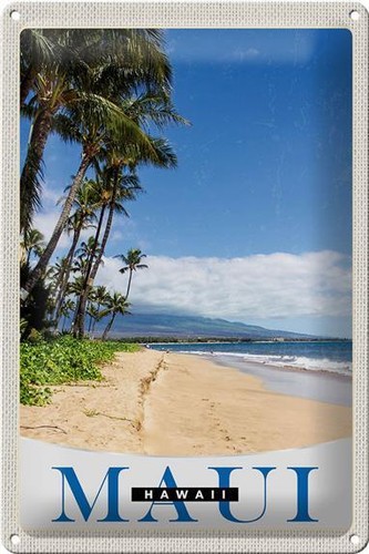Blechschild reise 20x30 - reise, cm